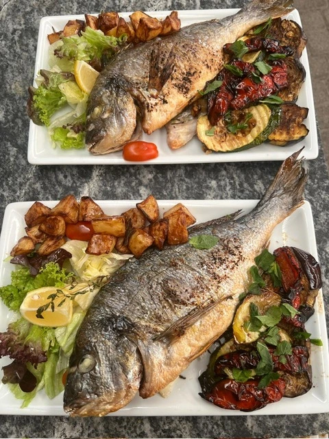 Mediterrane Dorade mit Gemüsebeilage Gegrillte Dorade mit gebratenen Auberginen, Ofengemüse und frischem Blattsalat auf weißem Teller
